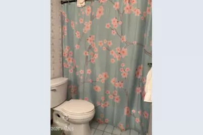 5047 N 129th Avenue, Litchfield Park, AZ 85340 - Photo 12