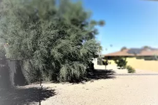 13218 W Jadestone Dr, Sun City West, AZ 85375 - Photo 14