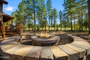 3861 W Hawthorn Rd, Show Low, AZ 85901 - Photo 32