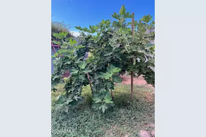 14764 S Amado Boulevard, Arizona City, AZ 85123 - Photo 56