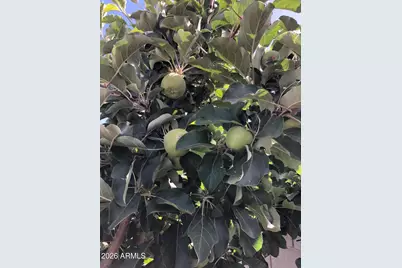 14764 S Amado Boulevard, Arizona City, AZ 85123 - Photo 58