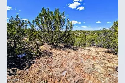 8546 Silver Creek Drive #44, Show Low, AZ 85901 - Photo 4