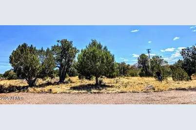 1939 Daggs Circle #24, Show Low, AZ 85901 - Photo 2