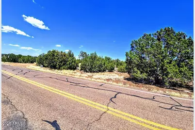 8426 Silver Creek Drive #1, Show Low, AZ 85901 - Photo 4