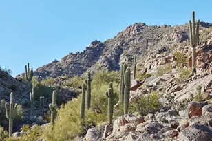 4849 N Camelback Ridge Rd, Scottsdale, AZ 85251 - Photo 16