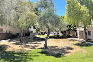 2938 N 61st Pl, Scottsdale, AZ 85251 - Photo 16