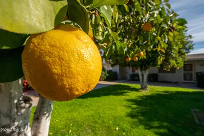 10616 W Coggins Drive, Sun City, AZ 85351 - Photo 46