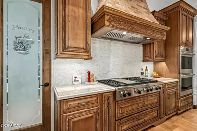 39257 N 104th Way, Scottsdale, AZ 85262 - Photo 20