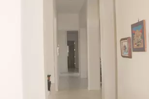 3826 N Rain Cloud Dr, Apache Junction, AZ 85119 - Photo 64