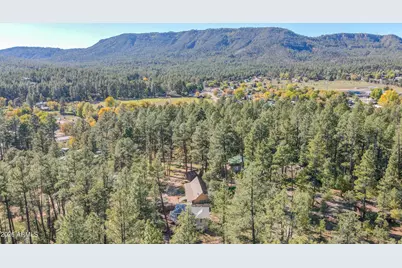 3690 N Cemetery Road, Pine, AZ 85544 - Photo 36