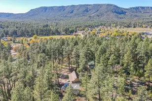 3690 N Cemetery Rd, Pine, AZ 85544 - Photo 36