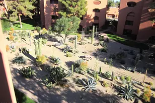 4303 E Cactus Rd, Phoenix, AZ 85032 - Photo 22