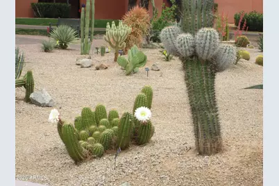 4303 E Cactus Road #423, Phoenix, AZ 85032 - Photo 36