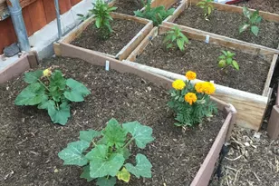 2690 W Jaclyn Dr, Flagstaff, AZ 86001 - Photo 24