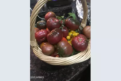 2690 W Jaclyn Drive, Flagstaff, AZ 86001 - Photo 22