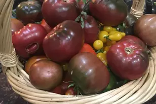 2690 W Jaclyn Dr, Flagstaff, AZ 86001 - Photo 22