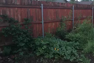 2690 W Jaclyn Dr, Flagstaff, AZ 86001 - Photo 26