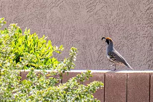 16024 W Rio Verde Ct, Surprise, AZ 85374 - Photo 30
