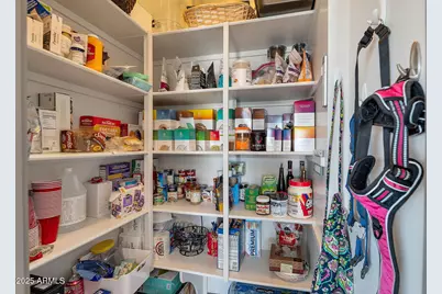 3119 E Cat Balue Drive, Phoenix, AZ 85050 - Photo 32