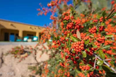 37003 N 109th Way #24, Scottsdale, AZ 85262 - Photo 34