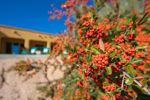 37003 N 109th Way, Scottsdale, AZ 85262 - Photo 34