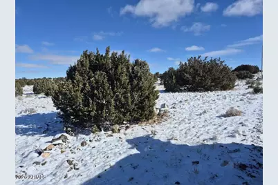 Tbd Acr 8620 Lot 81 -- #81, Concho, AZ 85924 - Photo 10