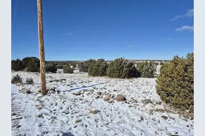 Tbd Acr 8620 Lot 81 -- #81, Concho, AZ 85924 - Photo 8