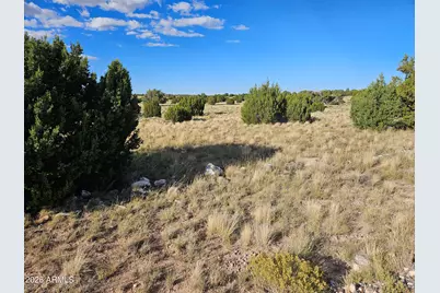 Tbd Acr 8620 Lot 81 -- #81, Concho, AZ 85924 - Photo 6