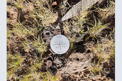 Tbd Acr 8620 Lot 81 -- #81, Concho, AZ 85924 - Photo 12