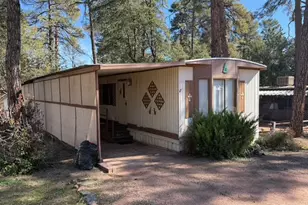705 E Miller Rd, Payson, AZ 85541 - Photo 4