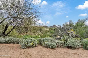 28604 N 92nd Pl, Scottsdale, AZ 85262 - Photo 50