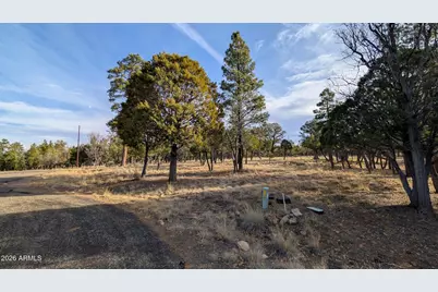 5527 Datil Circle #325, Happy Jack, AZ 86024 - Photo 8