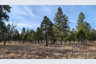 5527 Datil Circle #325, Happy Jack, AZ 86024 - Photo 20