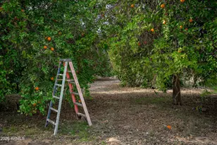 33228 W Sunland Ave, Tonopah, AZ 85354 - Photo 42