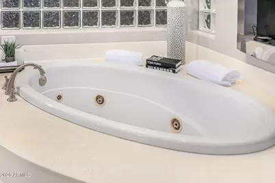 344 E Bridle Court, Gilbert, AZ 85295 - Photo 56