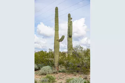6382 E Calle De Mandel Drive #'-', Scottsdale, AZ 85266 - Photo 2