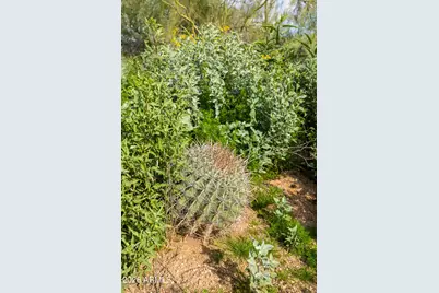 6382 E Calle De Mandel Drive #'-', Scottsdale, AZ 85266 - Photo 18