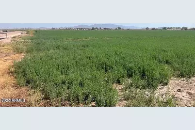 0006 W Beloat Road #Lot 28, 29, 30, Buckeye, AZ 85326 - Photo 2