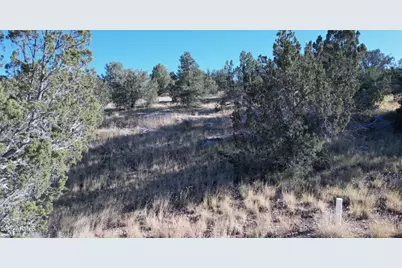 30863 W Basconia Road #4315, Seligman, AZ 86337 - Photo 6