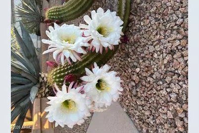 4852 E Barwick Drive, Cave Creek, AZ 85331 - Photo 4