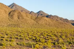 23394 N 75th St, Scottsdale, AZ 85255 - Photo 34