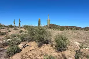 35440 N 307th Ave, Wittmann, AZ 85361 - Photo 16