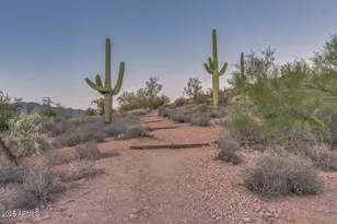 4778 S Primrose Dr, Gold Canyon, AZ 85118 - Photo 44