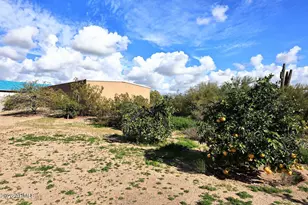 30611 N 64th St, Cave Creek, AZ 85331 - Photo 48