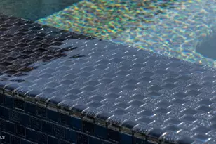 1946 W Horsetail Trail, Phoenix, AZ 85085 - Photo 10