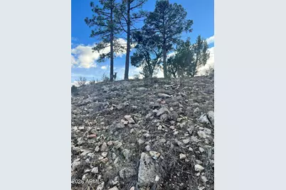 2820 Pine Hill Drive #20, Overgaard, AZ 85933 - Photo 10