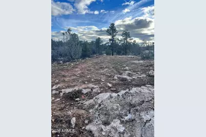 2820 Pine Hill Drive #20, Overgaard, AZ 85933 - Photo 12