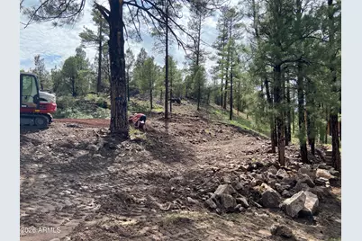 2820 Pine Hill Drive #20, Overgaard, AZ 85933 - Photo 2