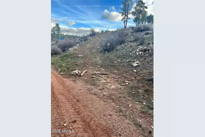 2820 Pine Hill Drive #20, Overgaard, AZ 85933 - Photo 8