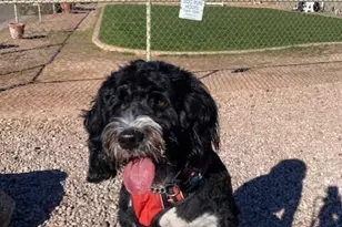 650 N Hawes Rd, Mesa, AZ 85207 - Photo 48